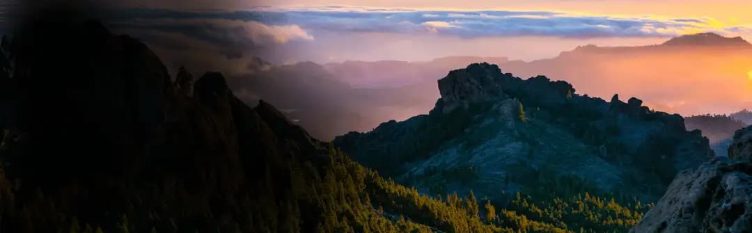 Drone Detection Banner