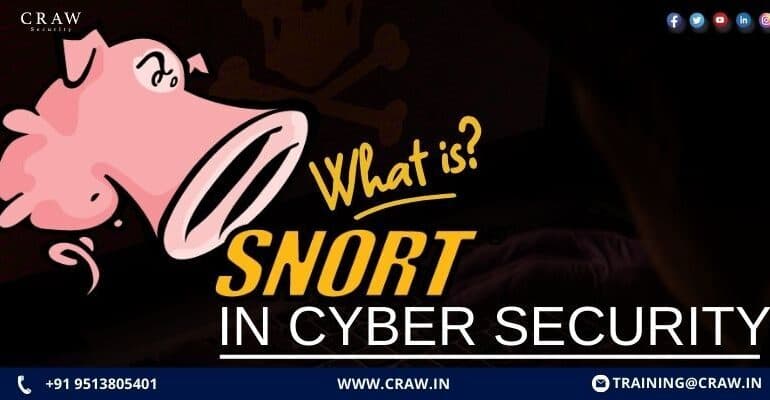What is Snort in Cybersecurity? A Complete Beginner’s Guide