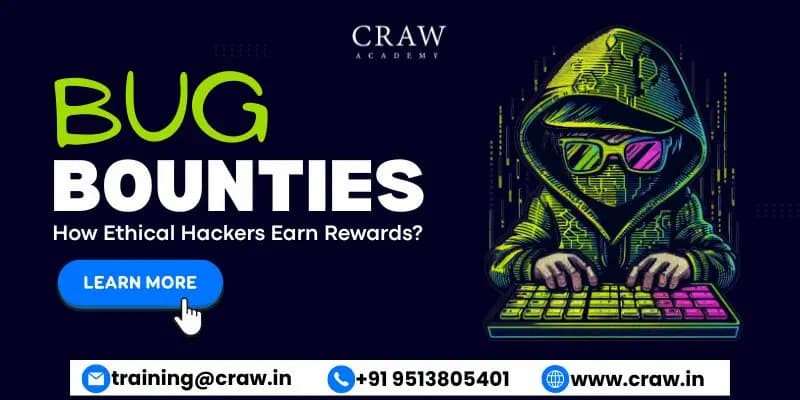 Bug Bounties Explained: How Ethical Hackers Earn Rewards?