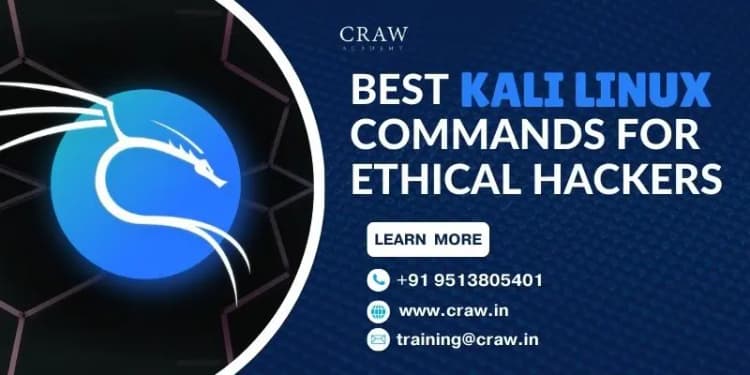 Top 74 Kali Linux Commands for Ethical Hackers [ Updated 202...