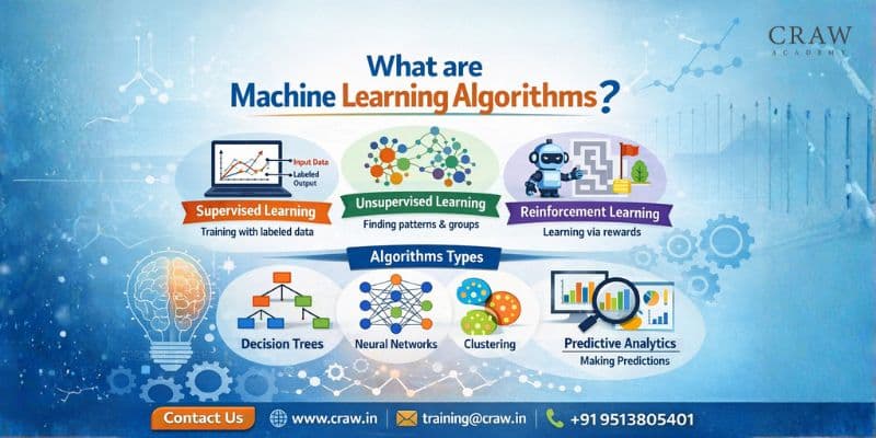 Learn about What are Machine Learning Algorithms?