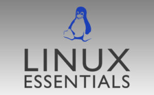 Linux Essential Training Course in Delhi - Craw Security