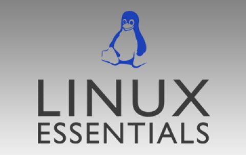 linux essentials course