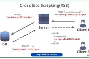 Cross-Site Scripting (XSS)