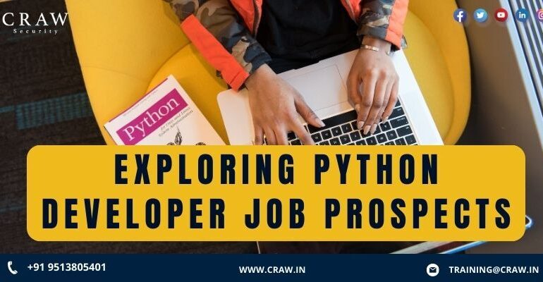 Exploring Python Developer Job Prospects