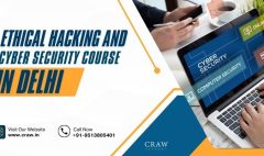 ethical hacking and cyber security course in delhi