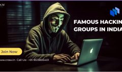 Famous Hacking Groups in India