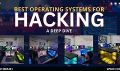 Best Operating Systems for Hacking A Deep Dive