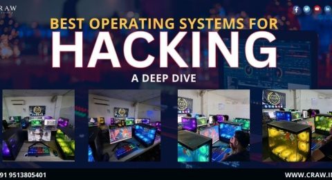 Best Operating Systems for Hacking A Deep Dive