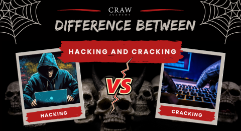 Difference Between Hacking and Cracking