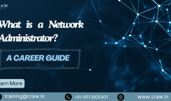 What is a Network Administrator A Career Guide