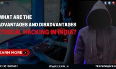 Advantages and Disadvantages of Ethical Hacking in India