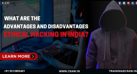 Advantages and Disadvantages of Ethical Hacking in India