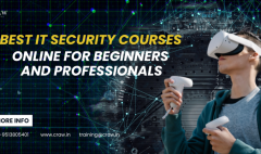 Best IT Security Courses Online for Beginners and Professionals