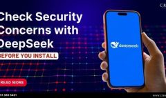 Check Security Concerns with DeepSeek Before You Install