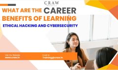 career opportunities in ethical hacking and cybersecurity